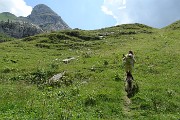 84 Dal Passo Branchino al Passo di Val Vedra